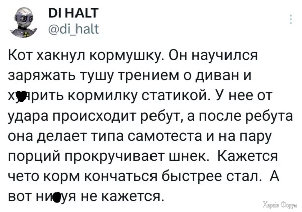 1758230496613.webp