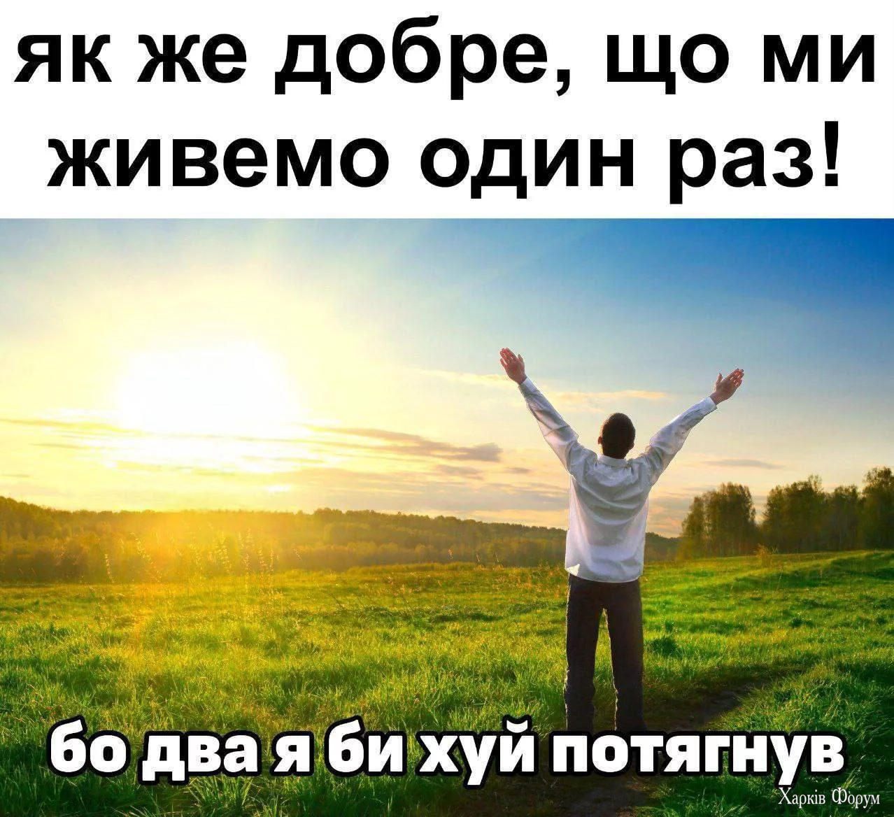 1758434420932.webp