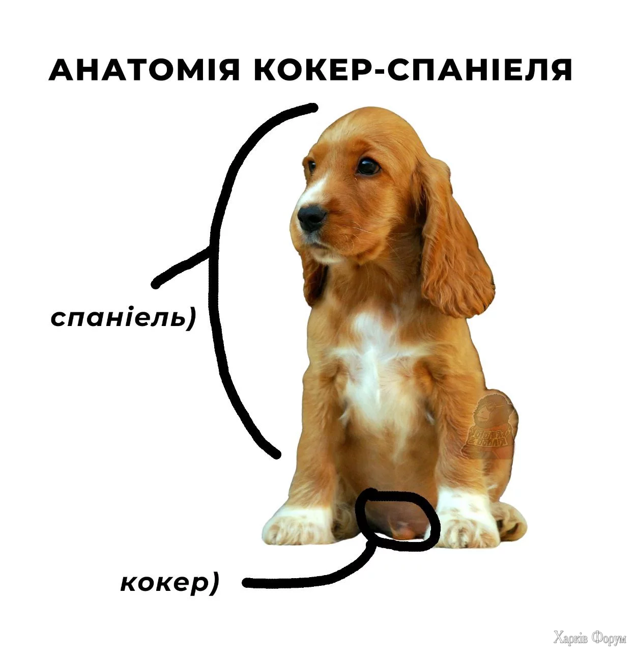 1758549522040.webp