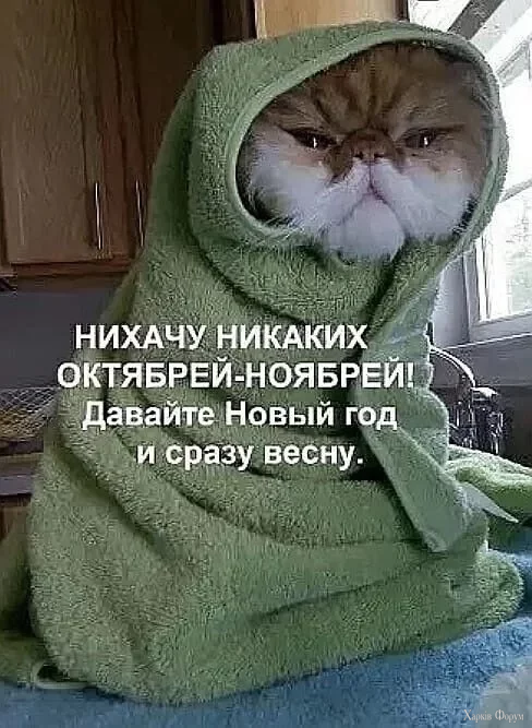 1758693110120.webp