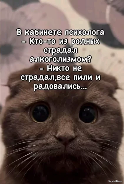 1759004672964.webp