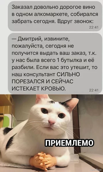 1759157559799.webp