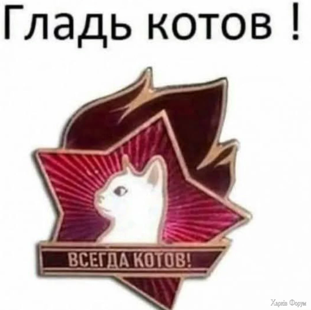 1759160764733.webp