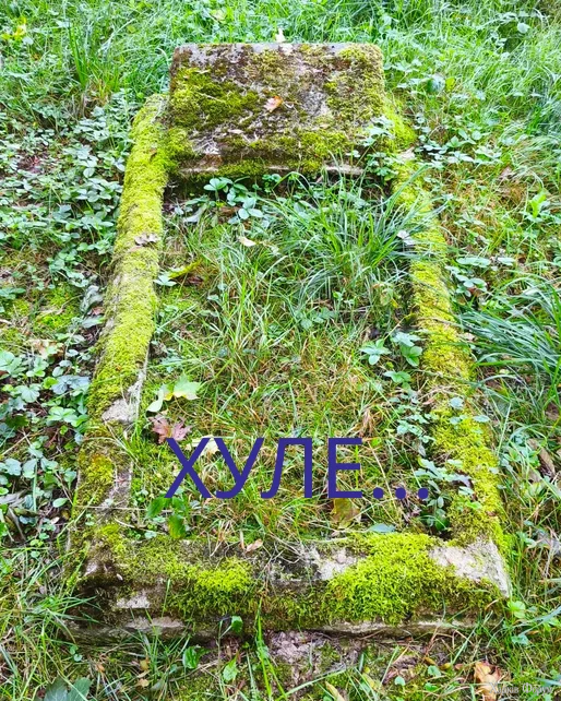 1759483982652.webp