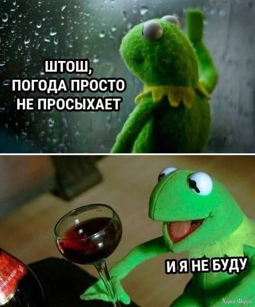 1759554859265.webp