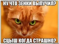 1759760305543.webp