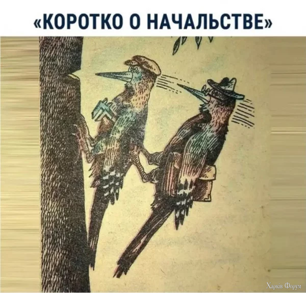 1759878580879.webp