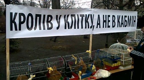 1759933.jpg