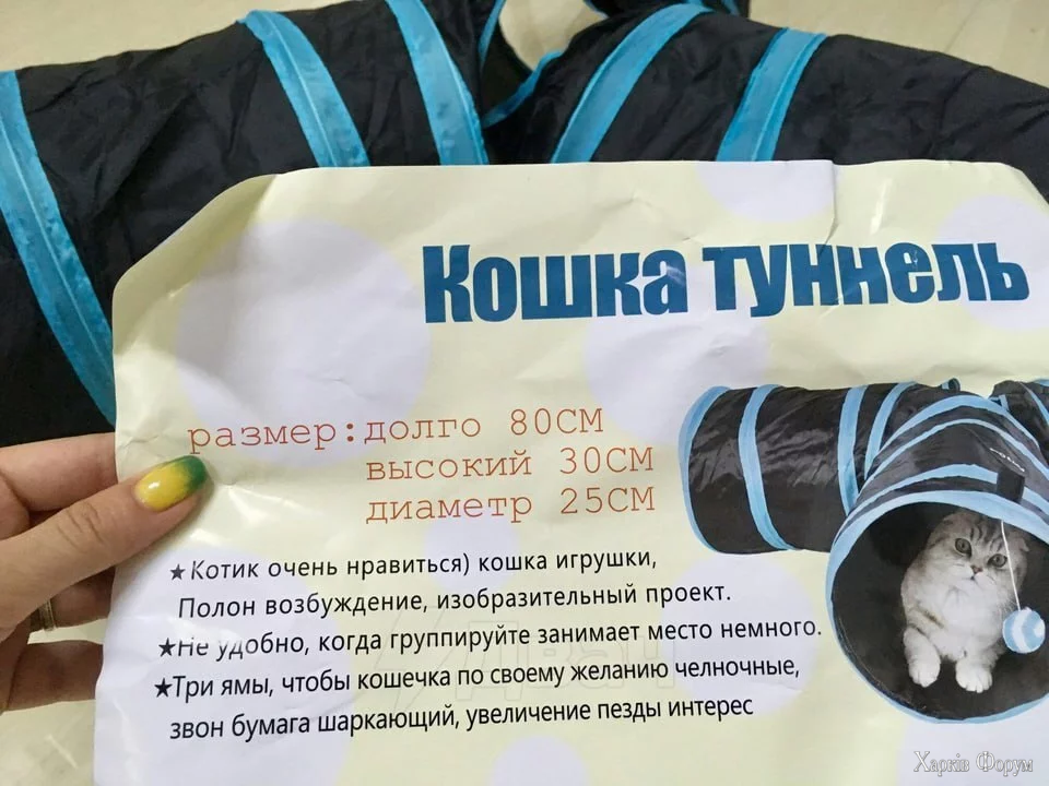 1760050341608.webp