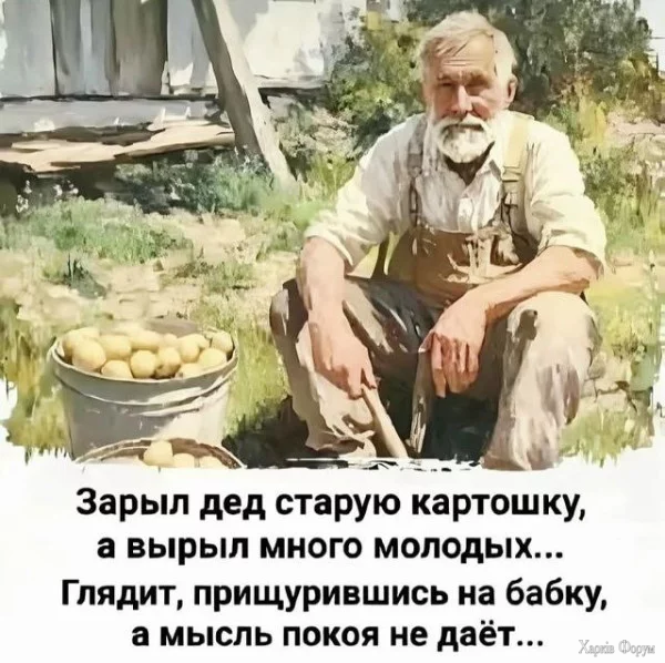 1760299807246.webp