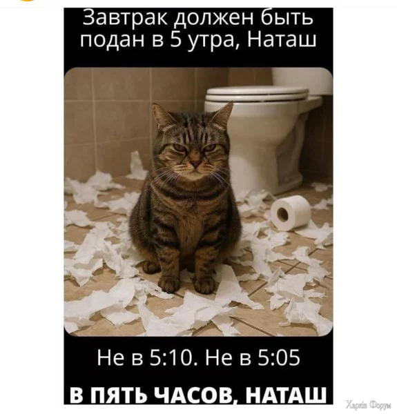 1760301012434.webp