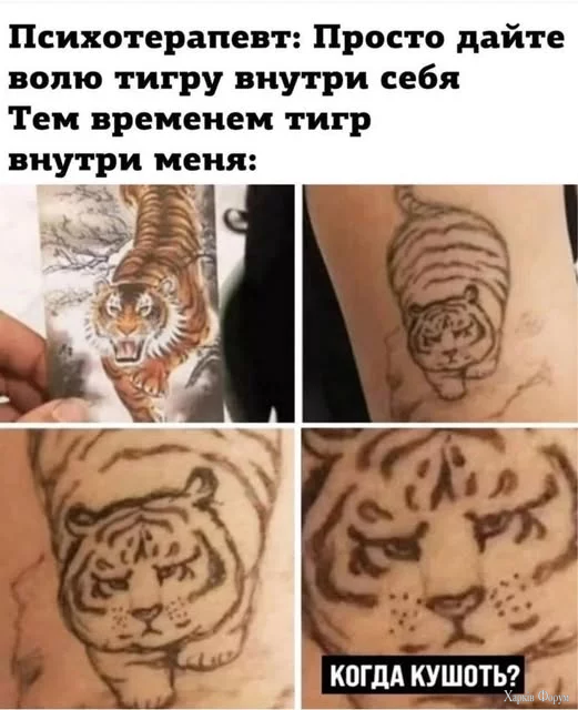 1760424967404.webp