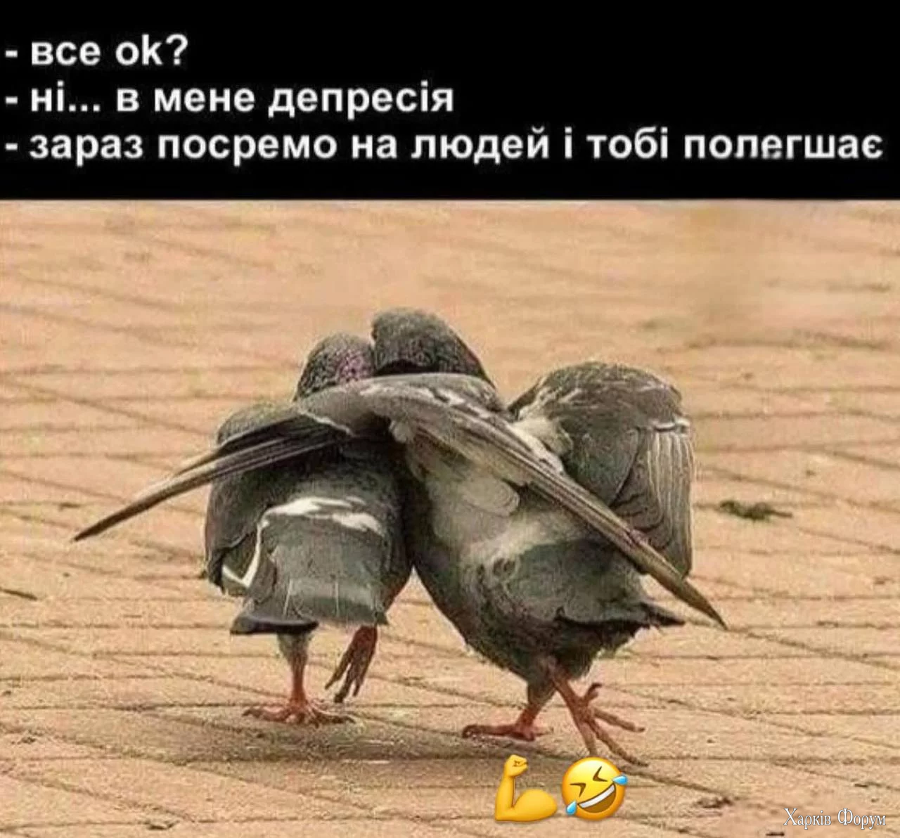1760451652948.webp