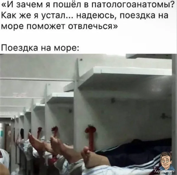 1760477912497.webp