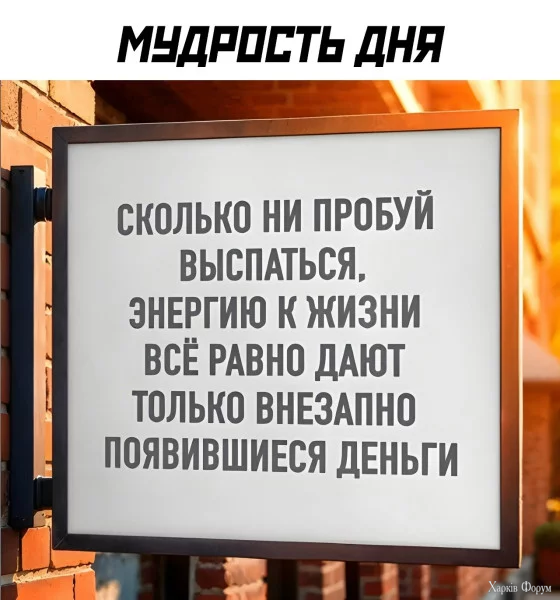 1760478146863.webp