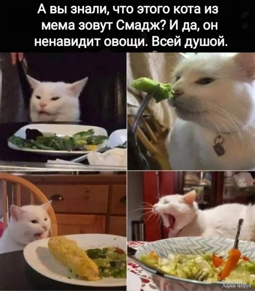 1760572447269.webp