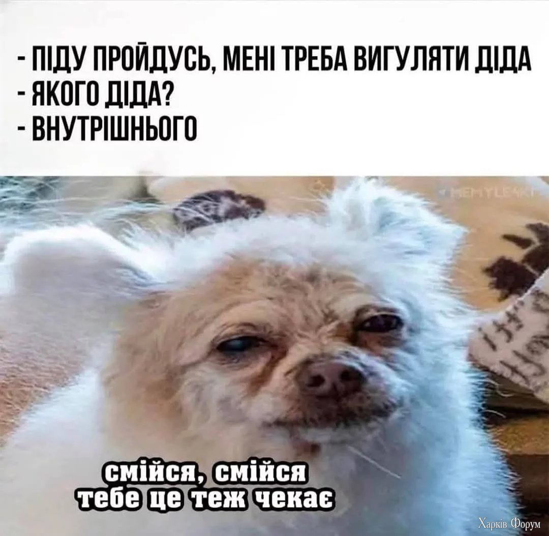 1760620763932.webp