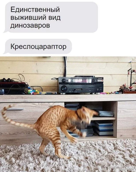 1760654261916.webp