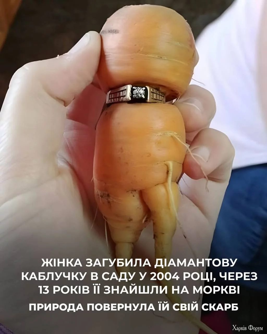 1760723795564.webp