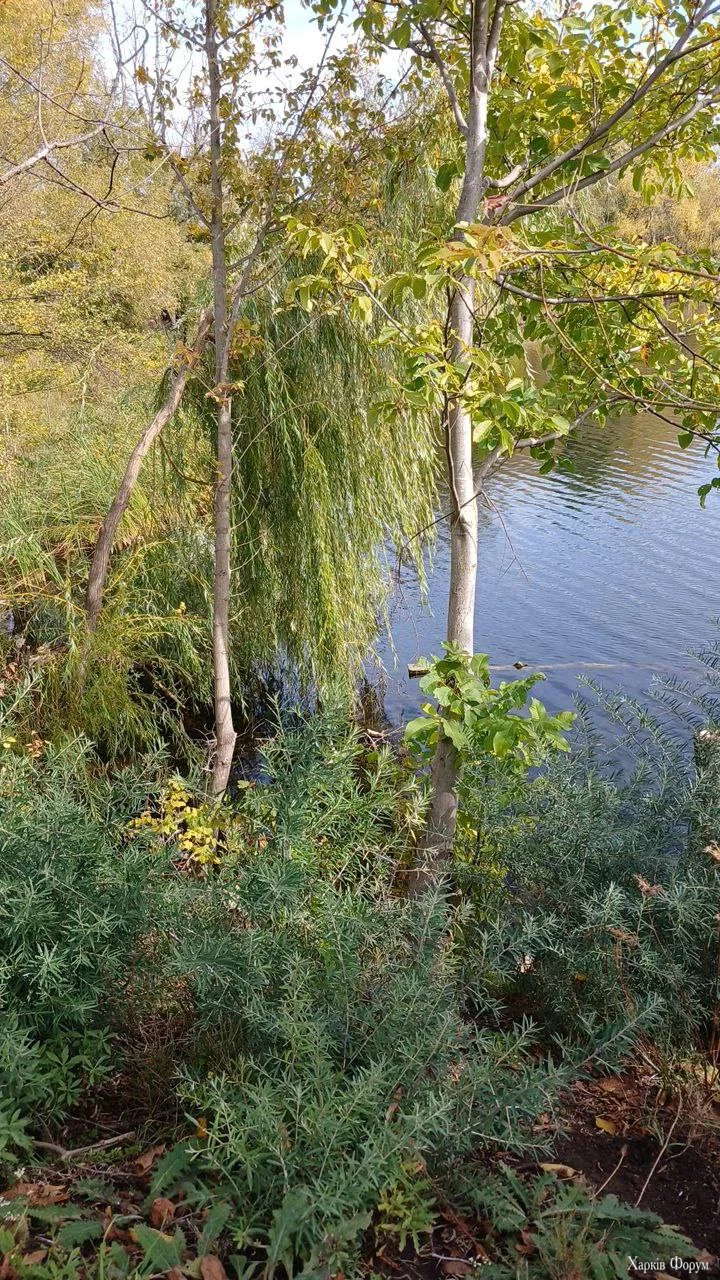 1760771151550.webp