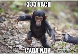 1761299562999.webp
