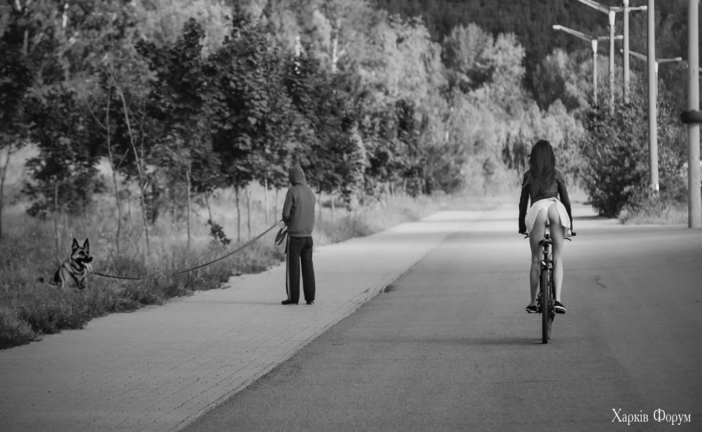 1761634403295.webp 1761634403295.webp