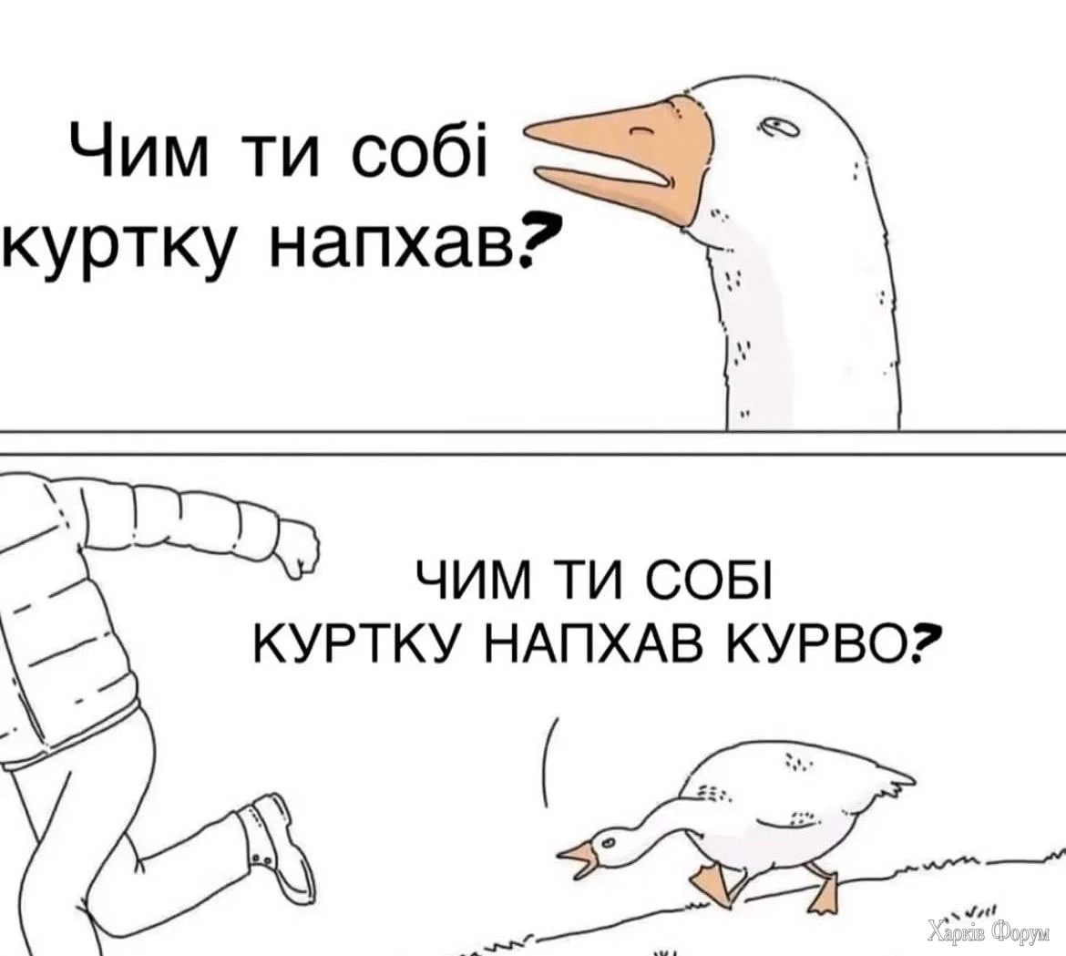 1761650284076.webp