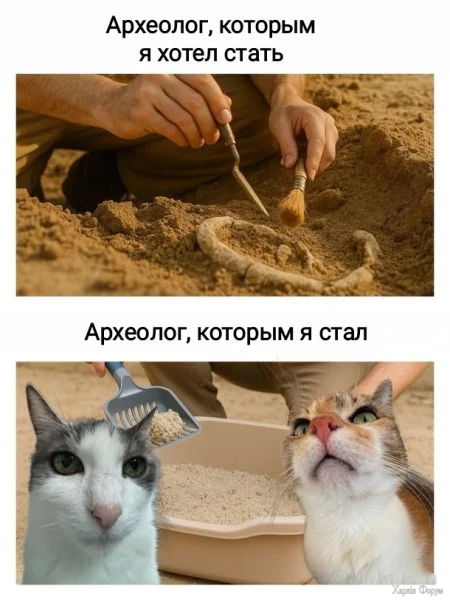 1763593980752.webp