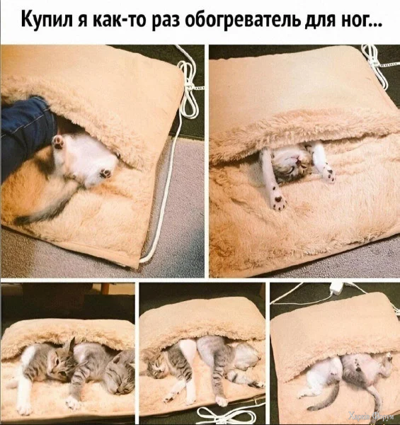 1763595107163.webp