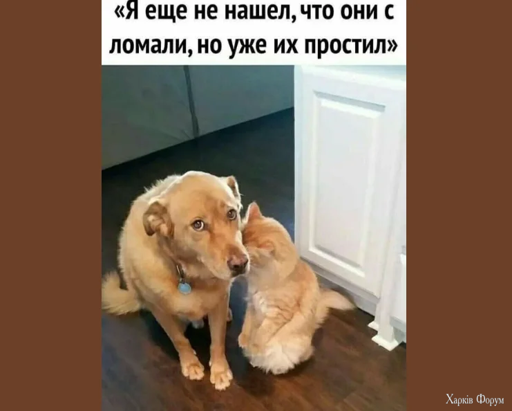1763925410577.webp