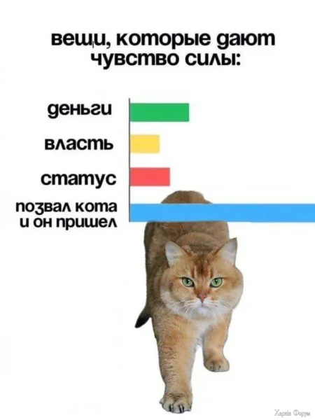 1764368689936.webp