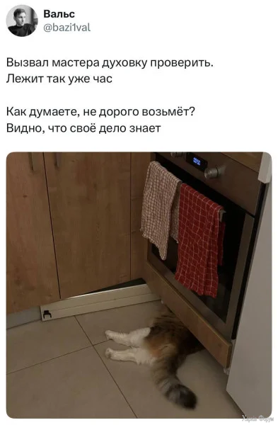 1764462170833.webp