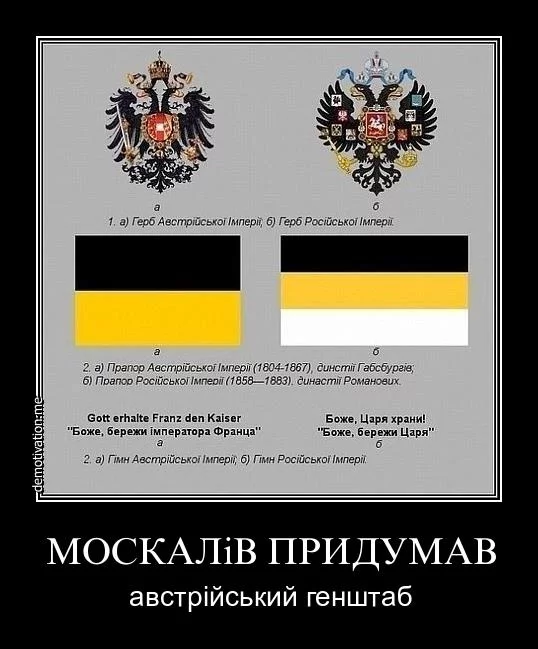 176499_800.webp