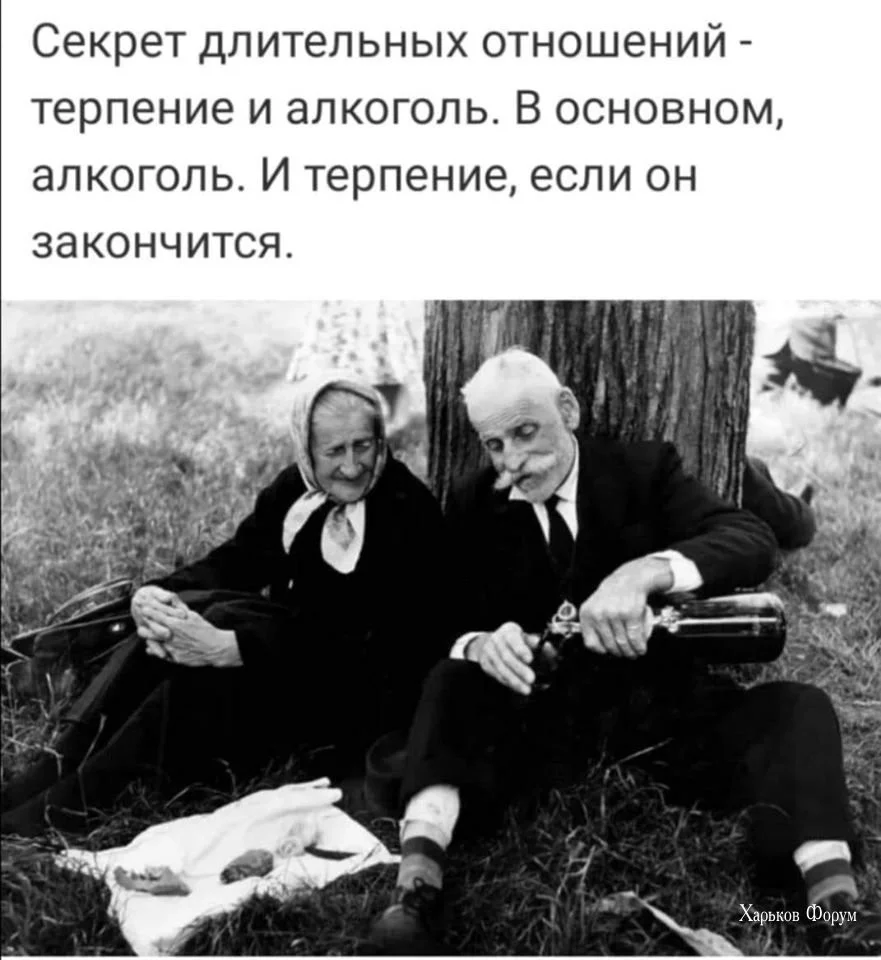 1768d502d027db4a6d96fa.webp