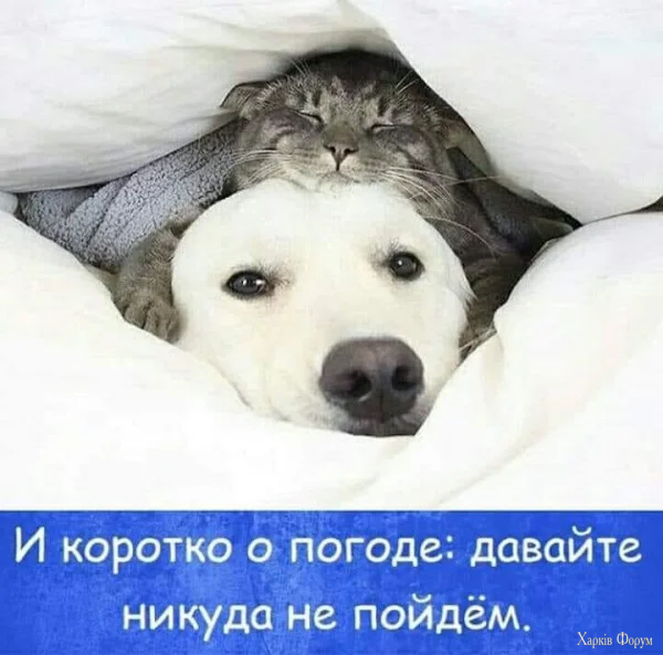 1769986698797.webp