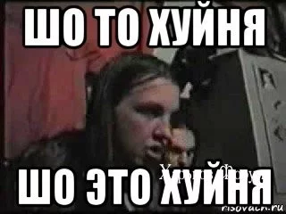 176cbab6fd3be176.webp