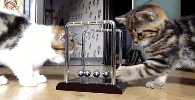 176d4051a127ae7b49ba.gif