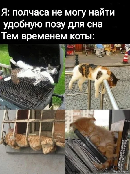 1770250776660.webp