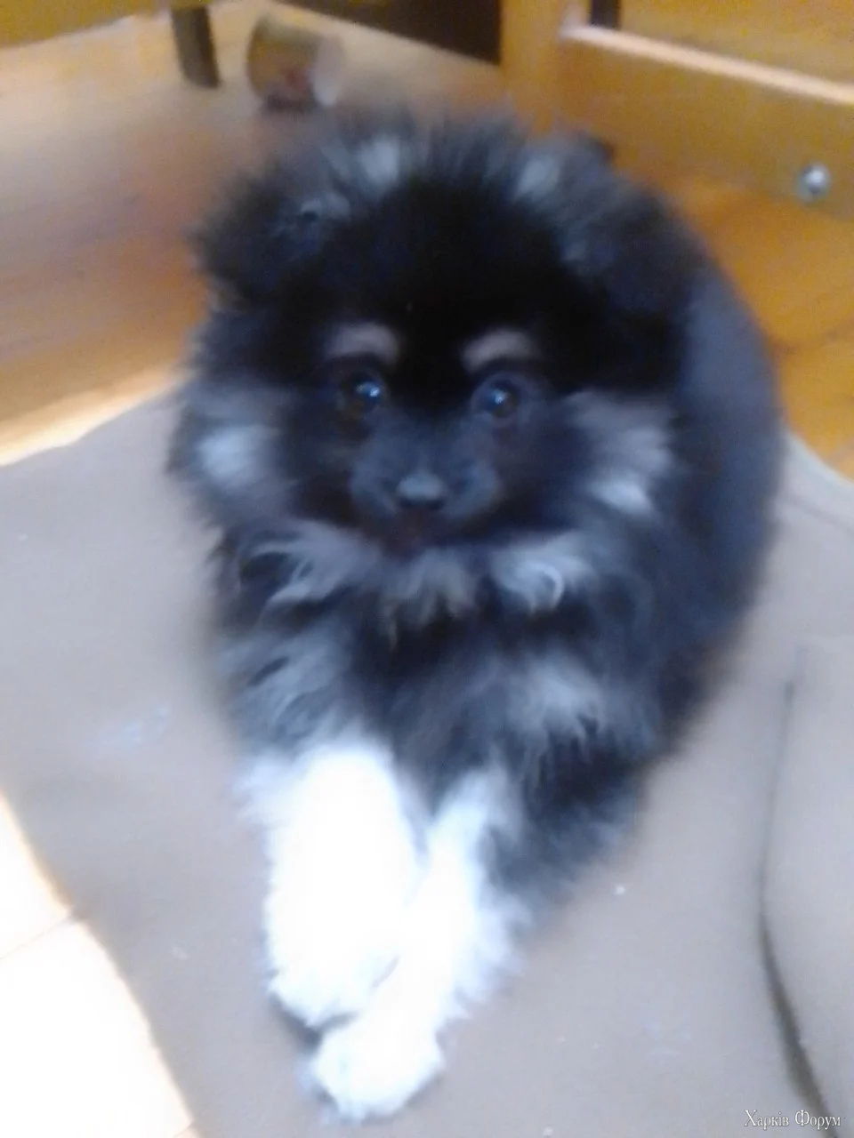 1770585420477.webp