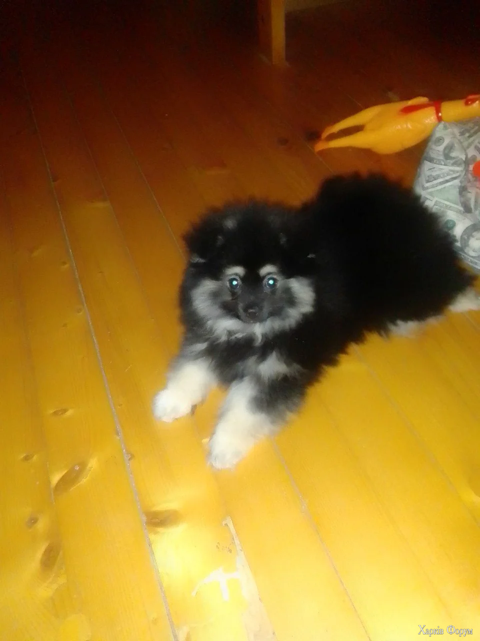 1770585473860.webp