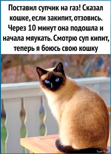 1770679175340.webp