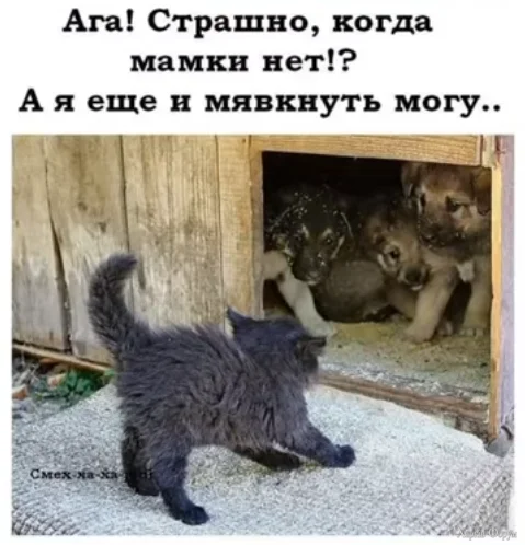 1770684920161.webp