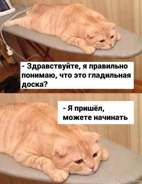 1770684940510.webp