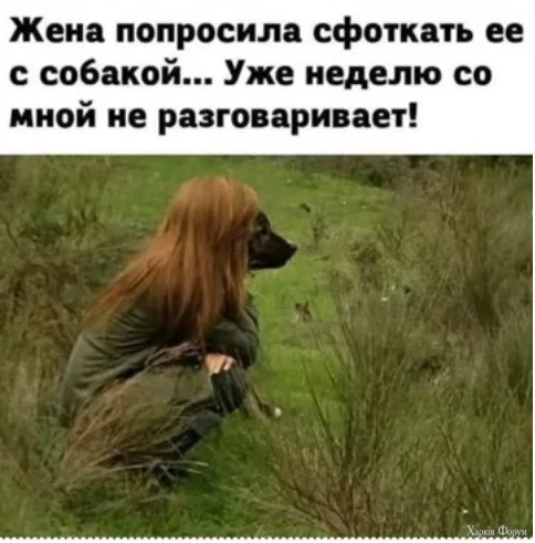 1770770555505.webp