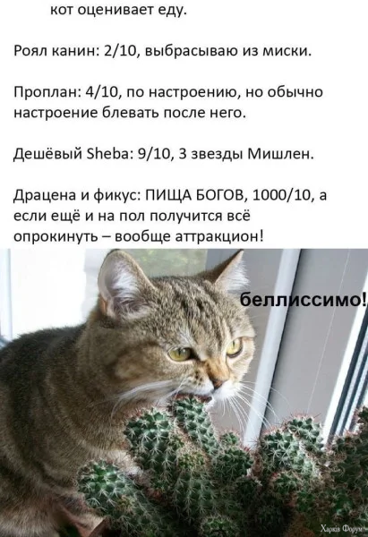1770856574564.webp