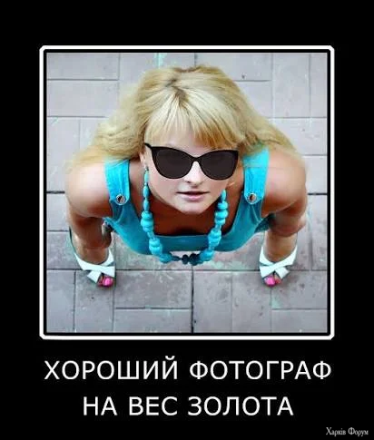 1770925556833.webp