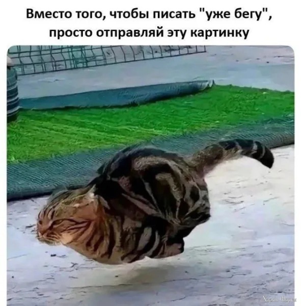 1770940399692.webp