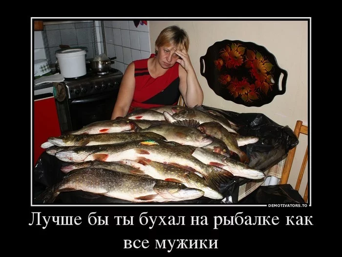 1770972.webp