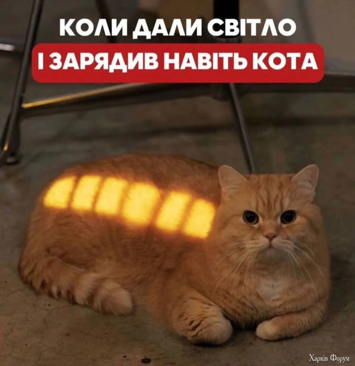 1771014103344.webp