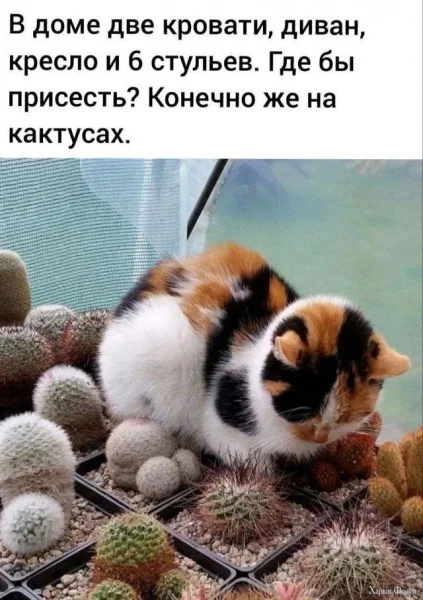 1771031129428.webp